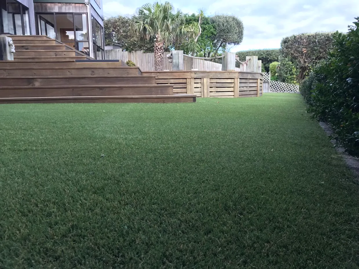 Synthetic turf lawn at Waikanae Beach