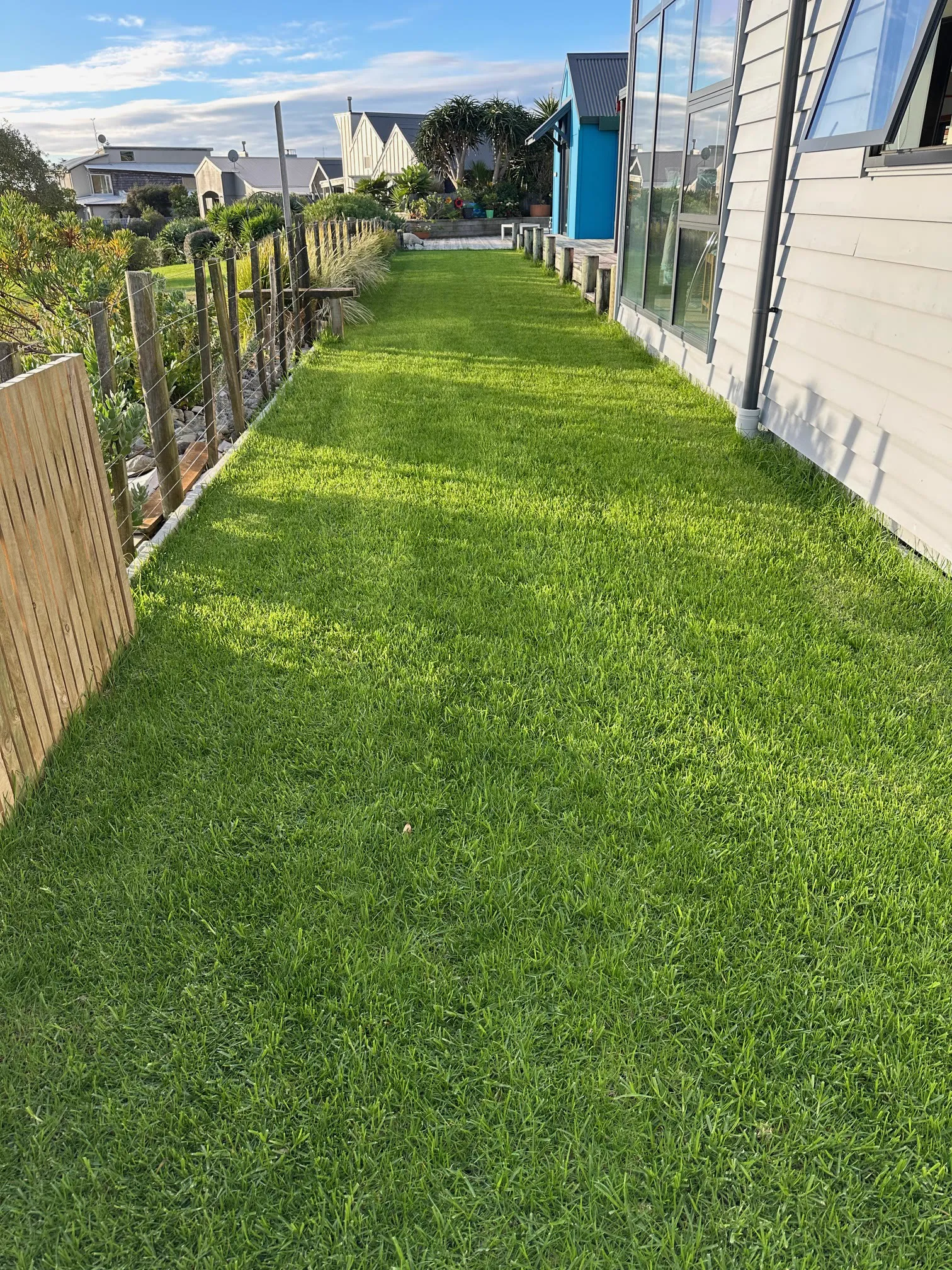 Kikuyu turf lawn, Queens Road Waikanae Beach