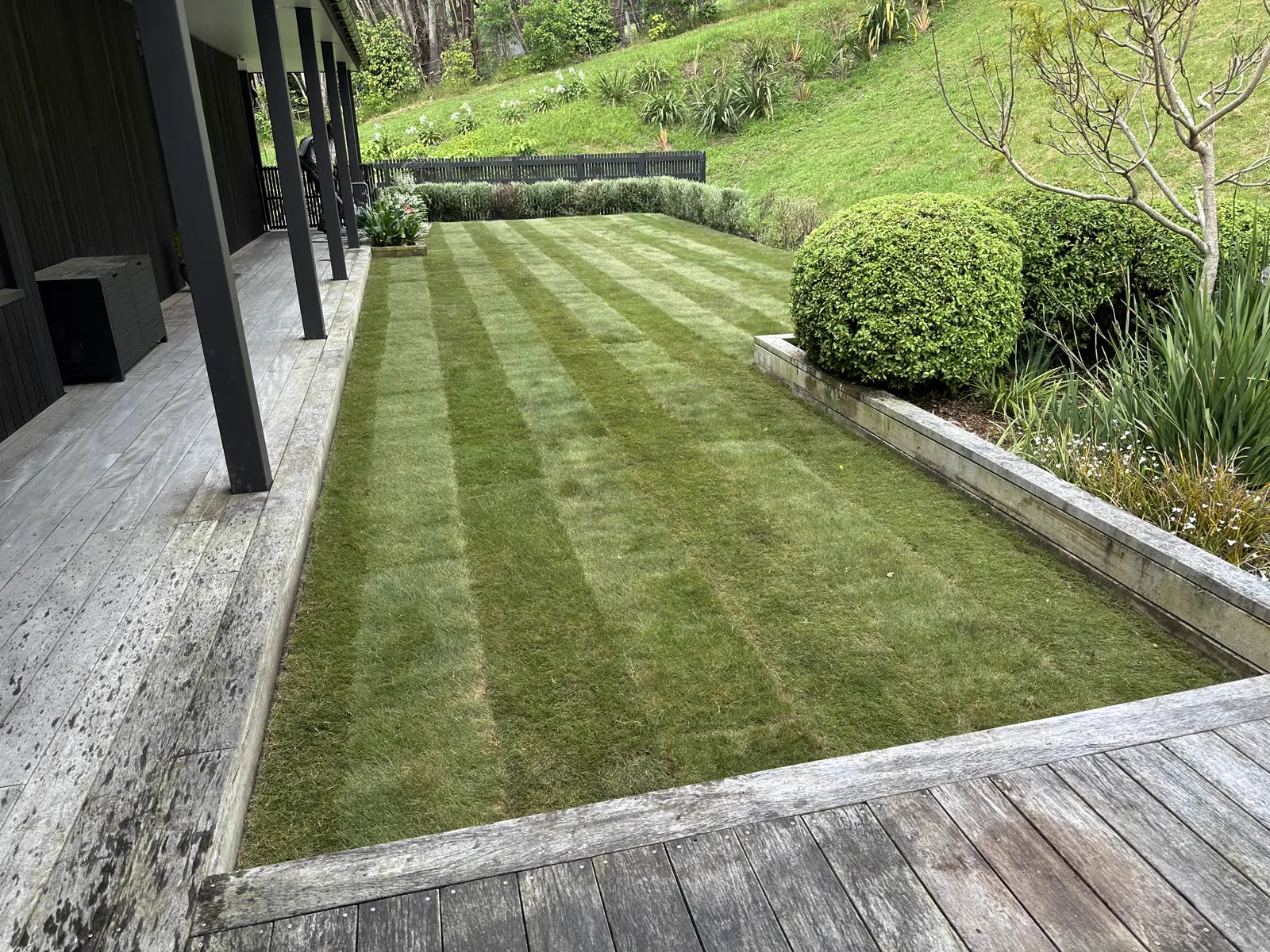 Premium instant turf installation