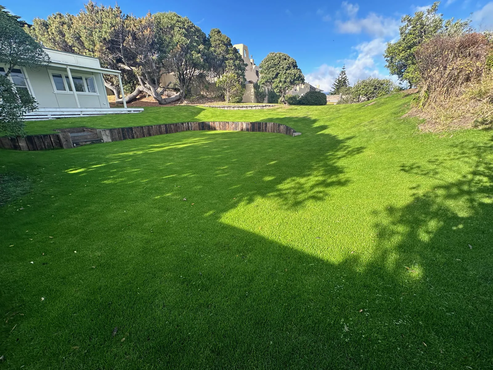 Hydroseeding results at Raumati Beach