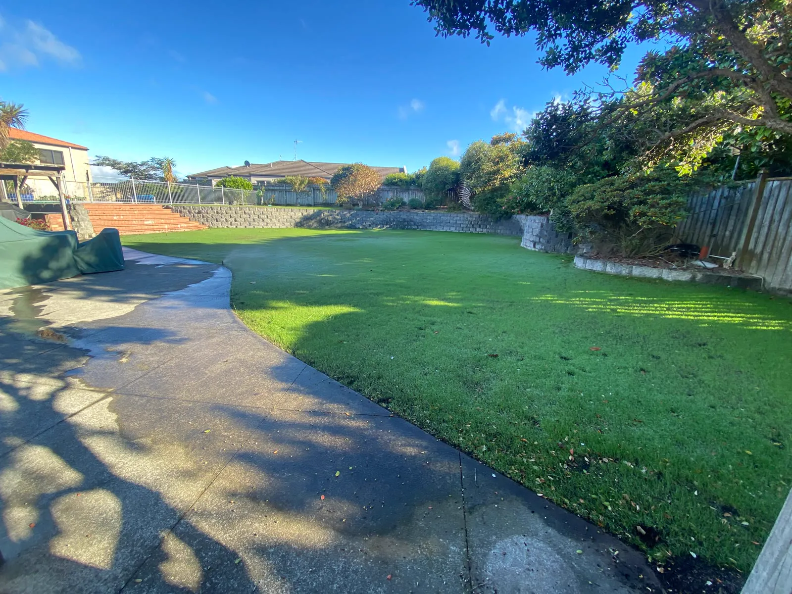 Two weeks after hydroseeding