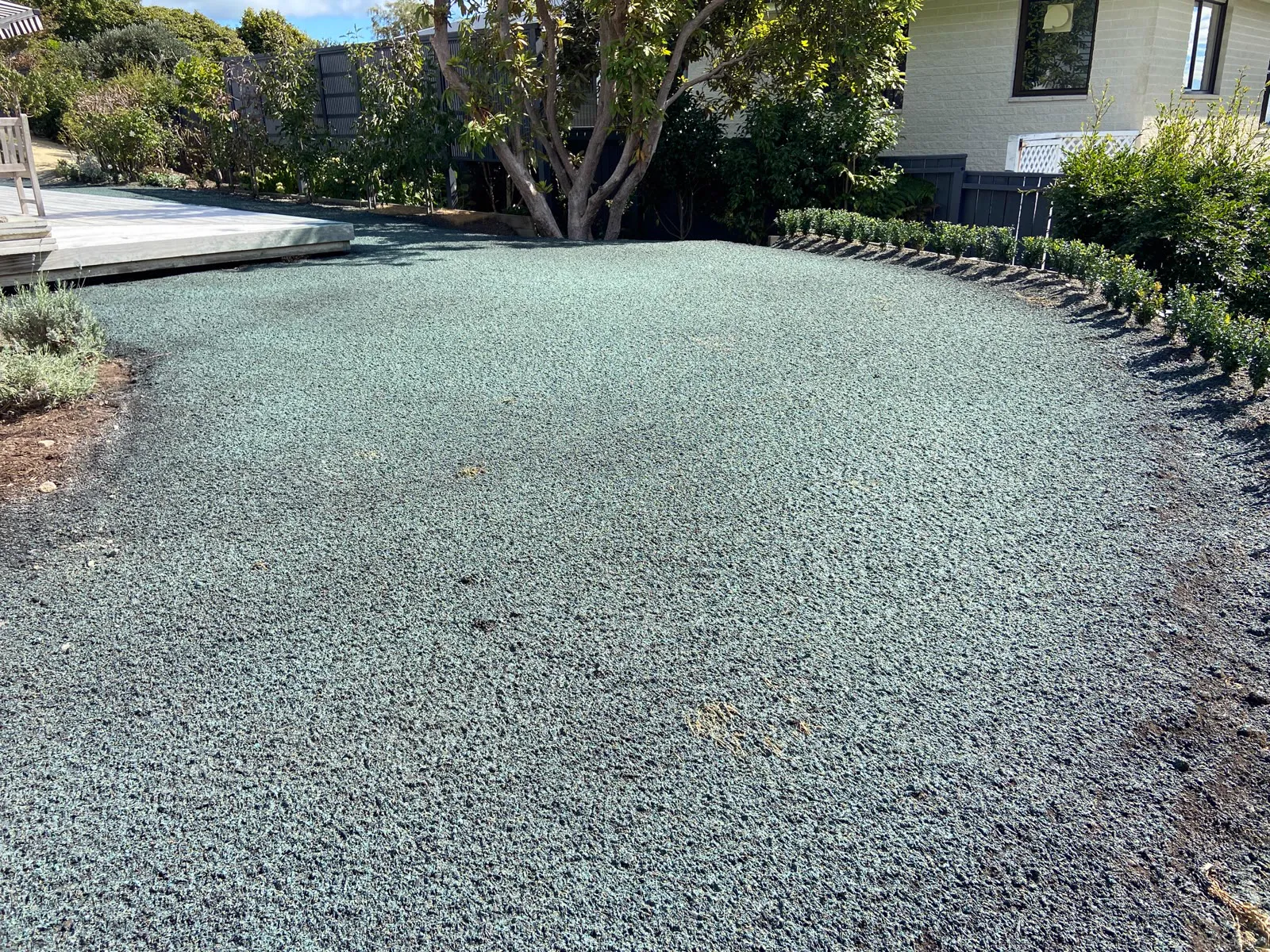 Hydroseeding a new lawn